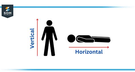 vertical|VERTICAL definition and meaning 